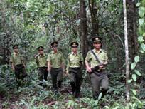 Quy định mức chi thanh toán chi phí cho các tổ chức, cá nhân được huy động để ngăn chặn tình trạng chặt phá rừng trái pháp luật và phòng cháy, chữa cháy rừng trên địa bàn tỉnh Kon Tum