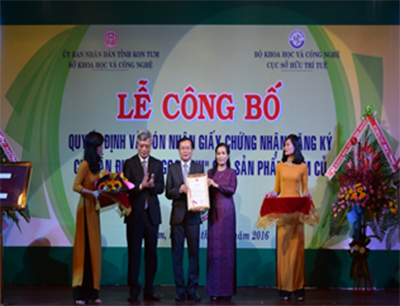 Kon Tum: Tổ chức Lễ công bố và đón nhận giấy chứng nhận đăng ký chỉ dẫn địa lý “Ngọc Linh” cho sản phẩm sâm củ
