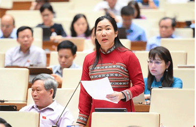 Một số hoạt động của Đoàn đại biểu Quốc hội tỉnh tại kỳ họp thứ 9, Quốc hội khóa XV